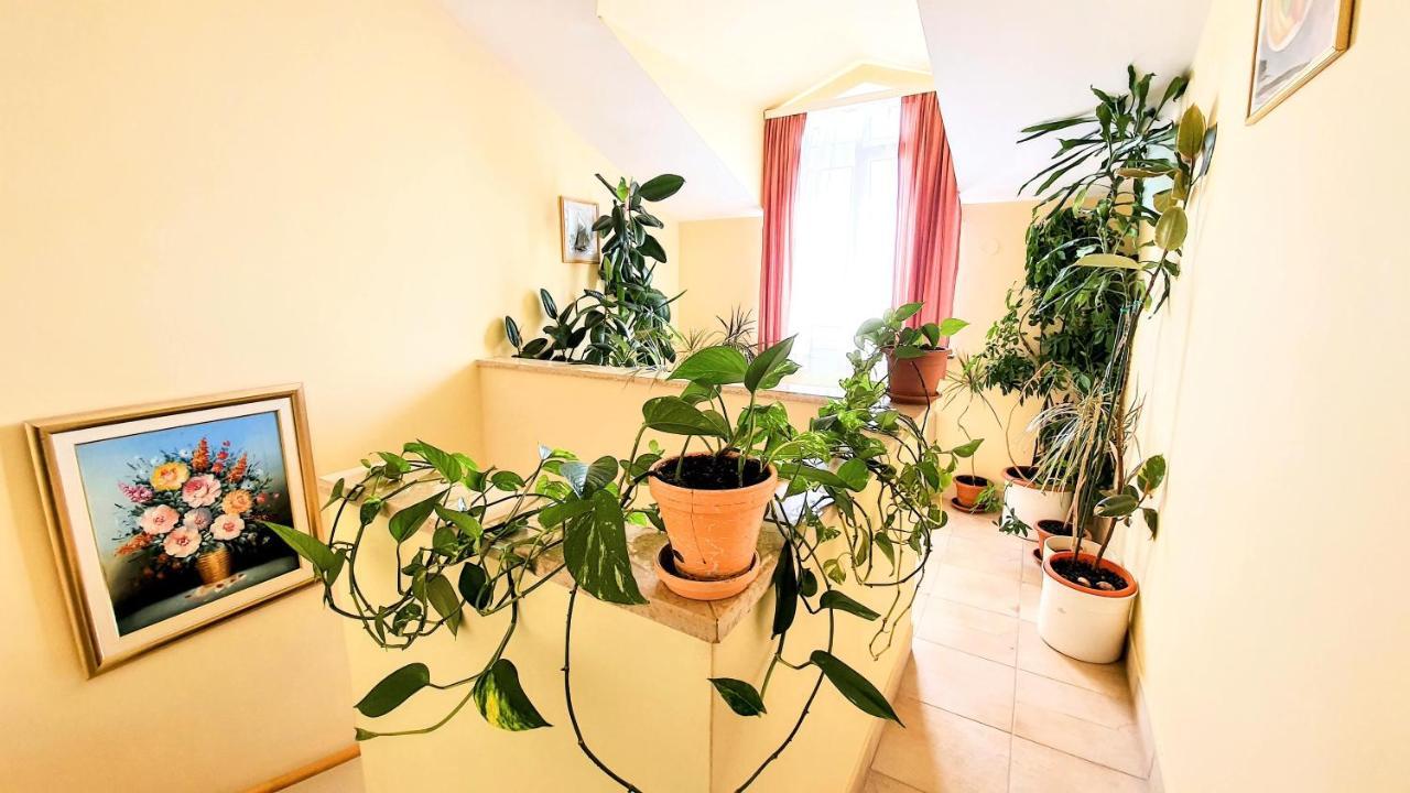 Villa Palcic Novalja Kültér fotó
